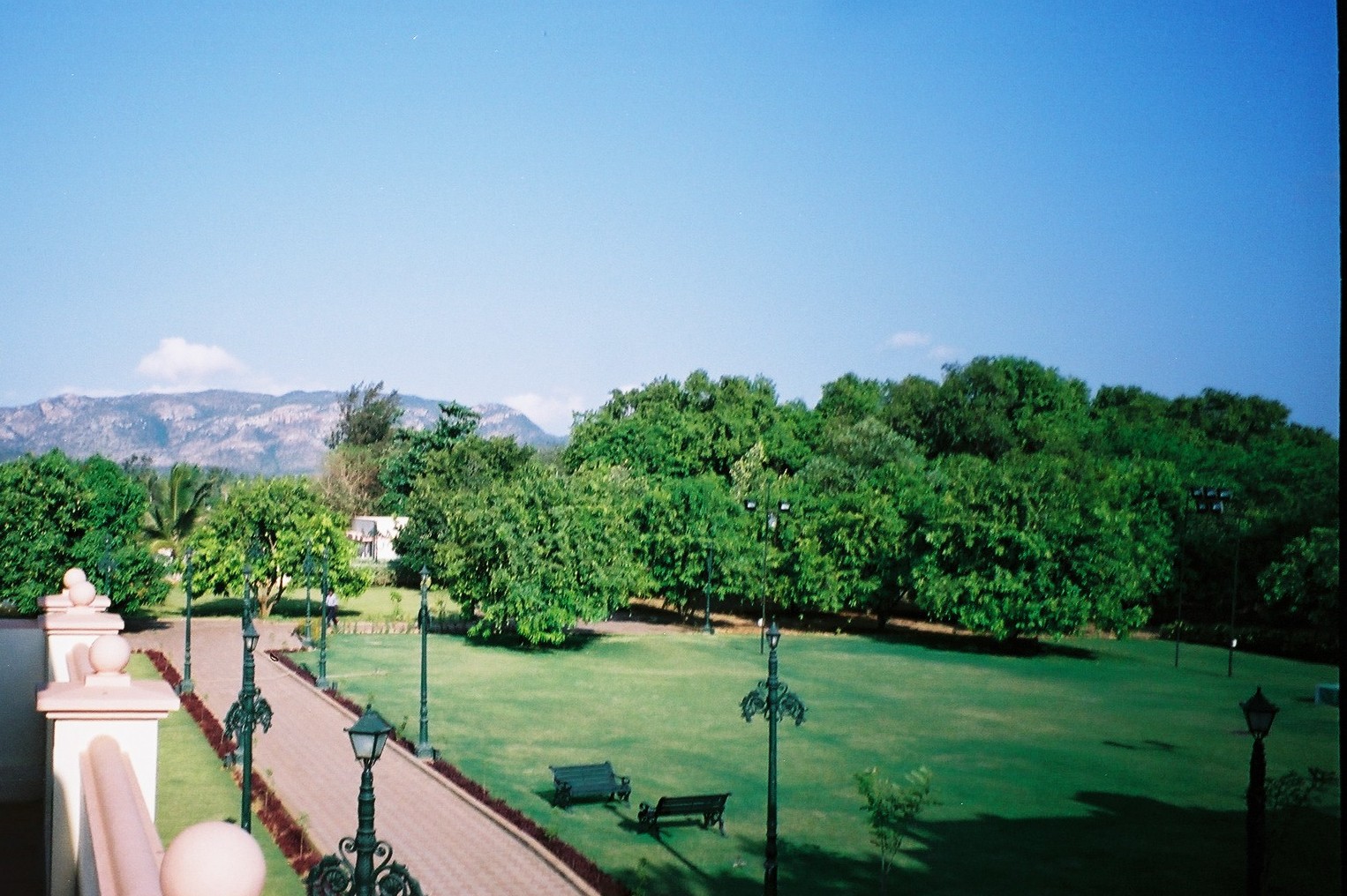 飯島クリニックオフィシャルサイト（診療方針）